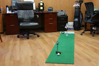 Big Moss Office Fit Putting Green (6) - View 3