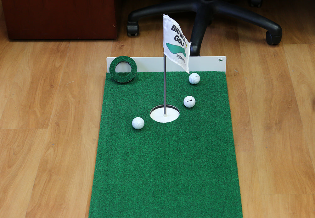 Big Moss Office Fit Putting Green (6) - View 4