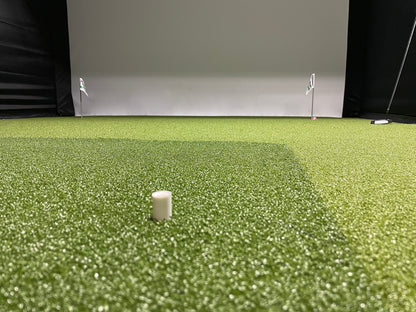 Big Moss Complete Carl's DIY Sim Bays with Commander 1 Level Putting Studio - View 2